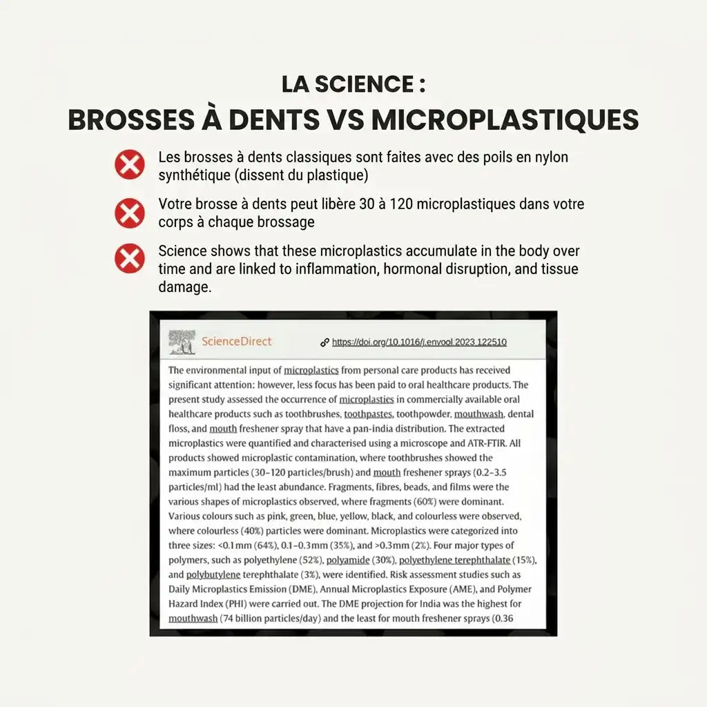 Brosse à dents en poils de sanglier ou crin de cheval (lot de 4)