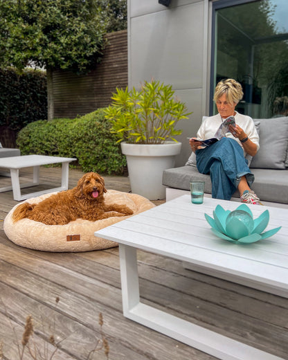 Pet Perfect Orthopedic Donut Basket