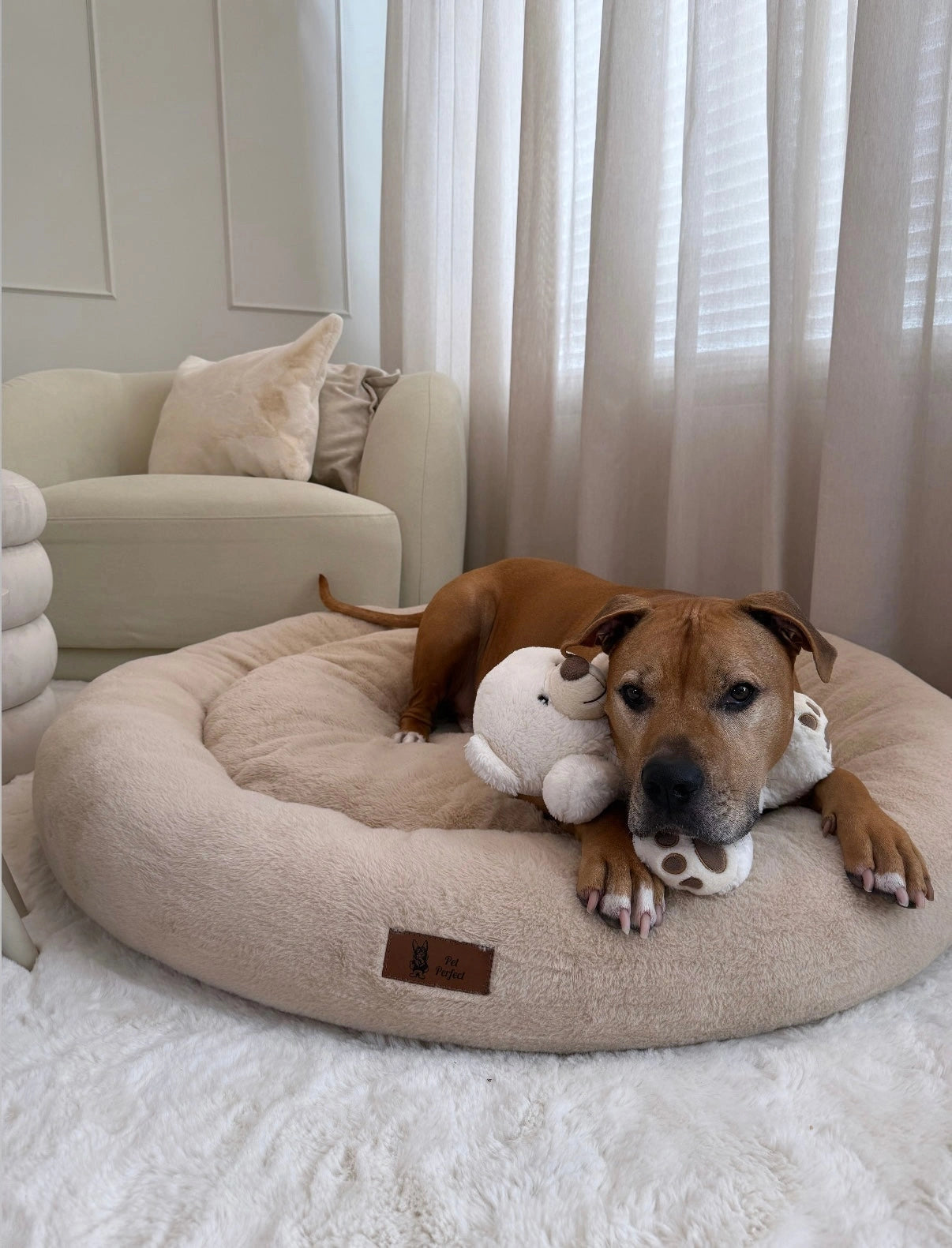 Pet Perfect Orthopedic Donut Basket
