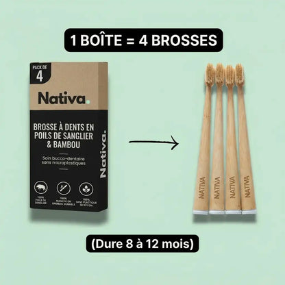 Brosse à dents en poils de sanglier ou crin de cheval (lot de 4)