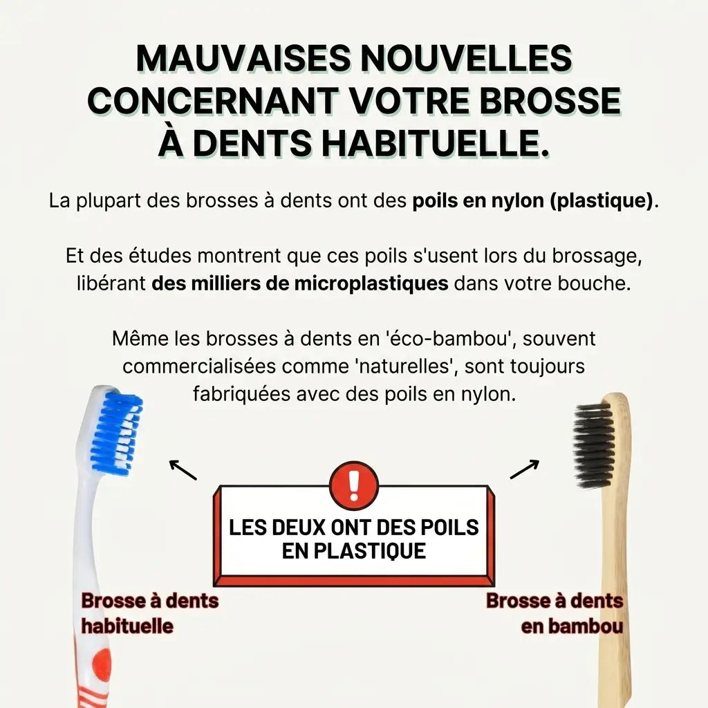 Brosse à dents en poils de sanglier ou crin de cheval (lot de 4)