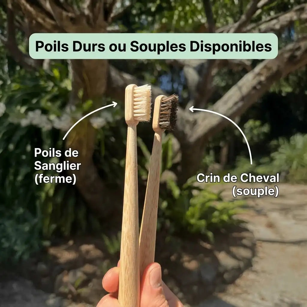 Brosse à dents en poils de sanglier ou crin de cheval (lot de 4)