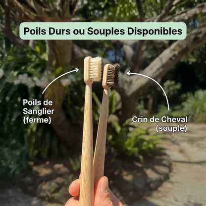 Brosse à dents en poils de sanglier ou crin de cheval (lot de 4)