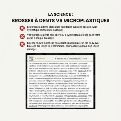 Brosse à dents en poils de sanglier ou crin de cheval (lot de 4)