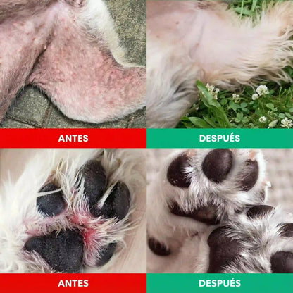 Comprimés à croquer de Cyclosporine (WagLabs™) -54% DE RÉDUCTION AUJOURD'HUI