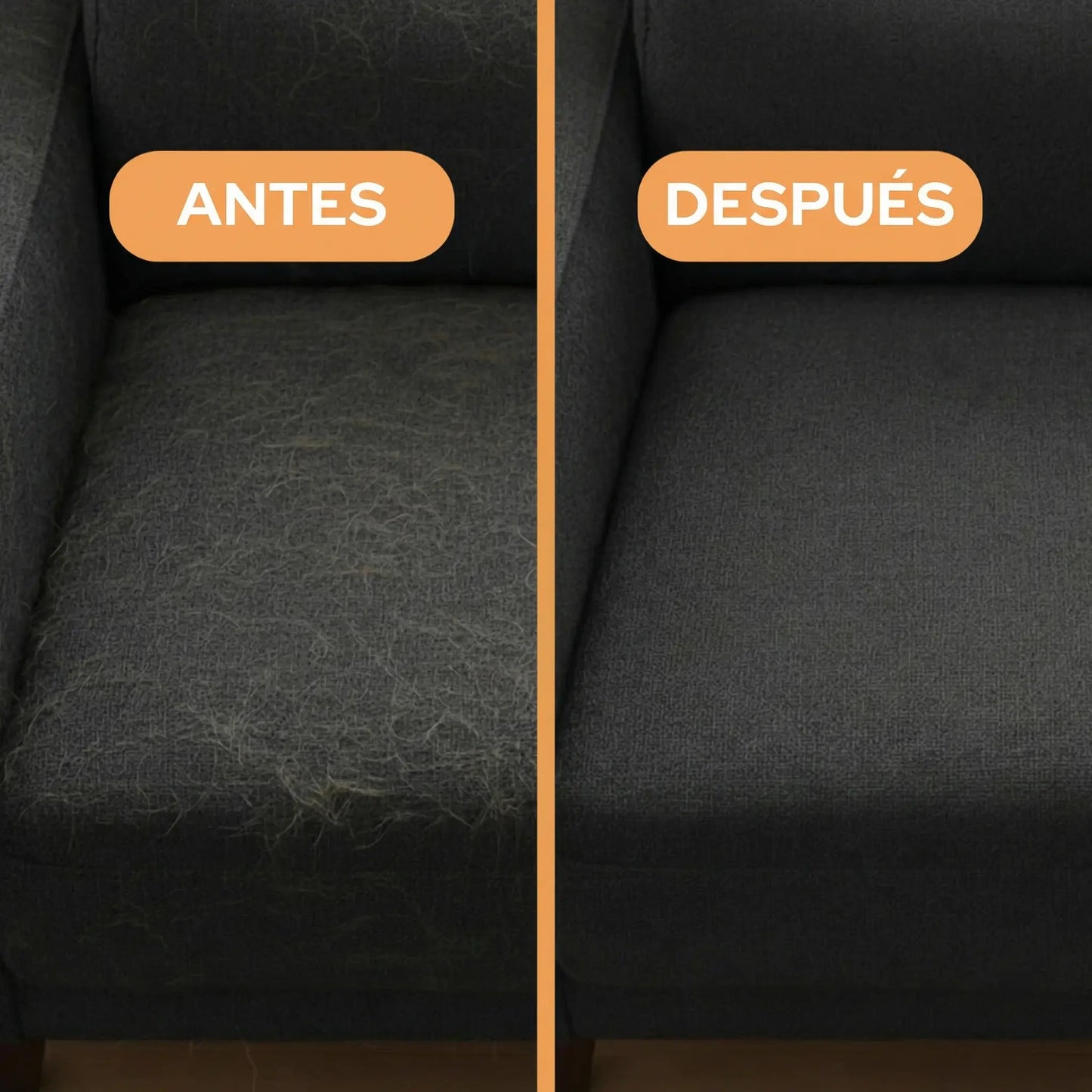 Des meubles sans poils en une seule étape - MyLittlePaw