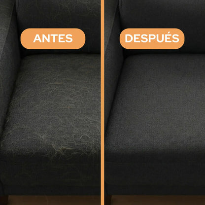 Des meubles sans poils en une seule étape - MyLittlePaw