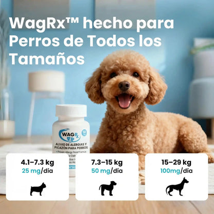 Comprimés à croquer de Cyclosporine (WagLabs™) -54% DE RÉDUCTION AUJOURD'HUI