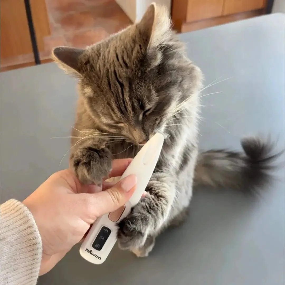 Patounet - Tondeuse de précision pour chats