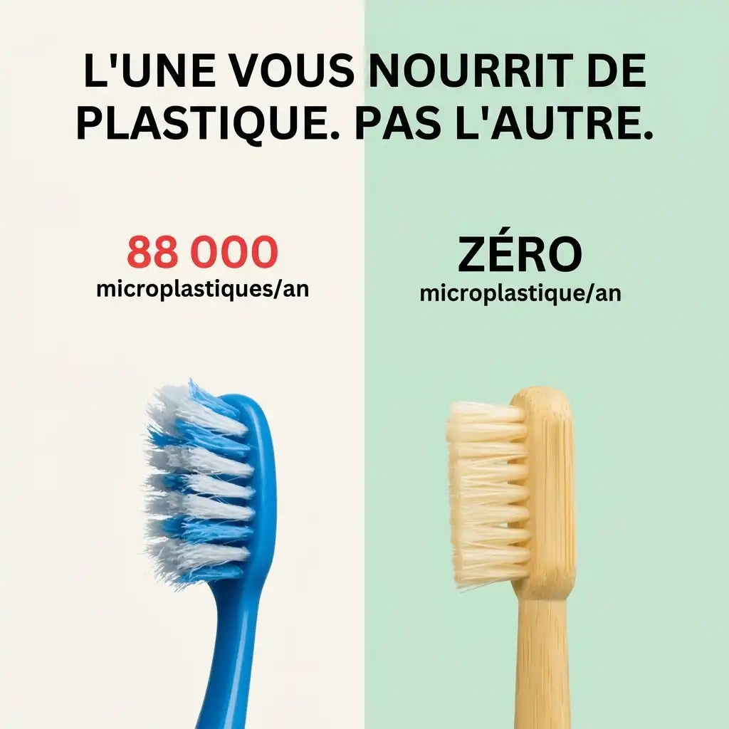 Brosse à dents en poils de sanglier ou crin de cheval (lot de 4)