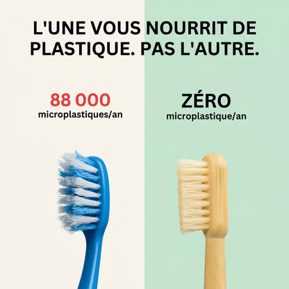 Brosse à dents en poils de sanglier ou crin de cheval (lot de 4)